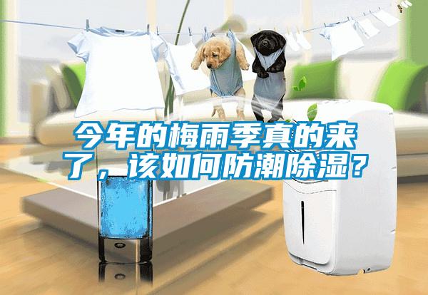 欧美黄色性爱视频网站 今年的梅雨季真的来了，该如何防潮除湿？