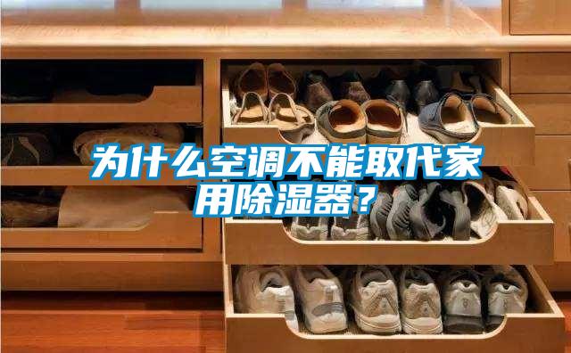 欧美黄色性爱视频网站 为什么空调不能取代家用除湿器？