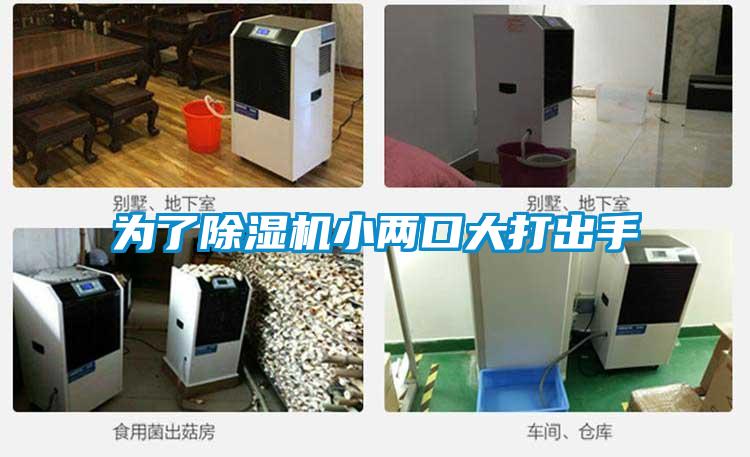 欧美成色手机在线观看 为了除湿机小两口大打出手