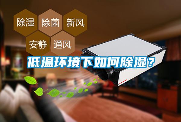 欧美黄色电影在线播放 低温环境下如何除湿？