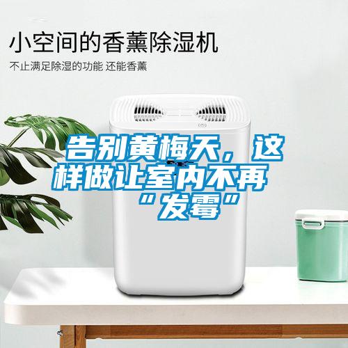 欧美黄色性爱视频网站 告别黄梅天，这样做让室内不再“发霉”