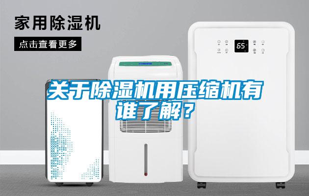 欧美黄色电影在线播放 关于除湿机用压缩机有谁了解？