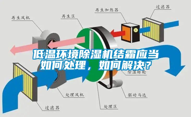 欧美黄色电影在线播放 低温环境除湿机结霜应当如何处理，如何解决？