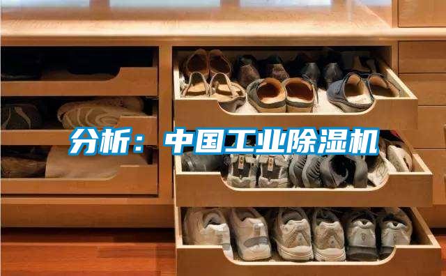 欧美成色手机在线观看 分析：中国工业除湿机