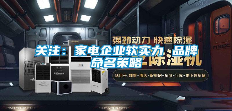 欧美成色手机在线观看 关注：家电企业软实力 品牌命名策略