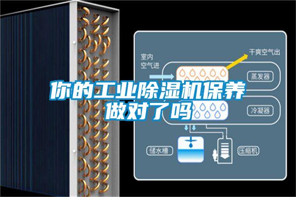 欧美黄色电影在线播放 你的工业除湿机保养做对了吗
