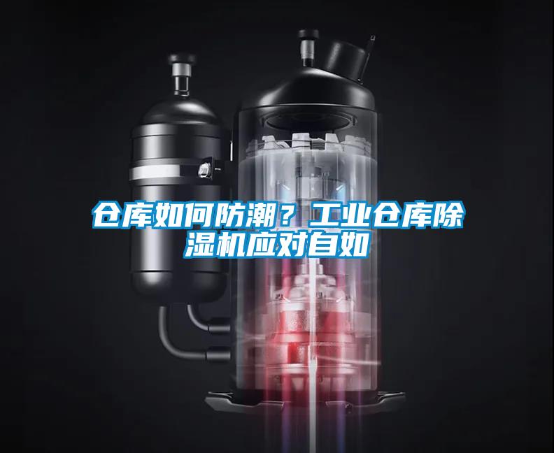 欧美黄色性爱视频网站 仓库如何防潮？工业仓库除湿机应对自如