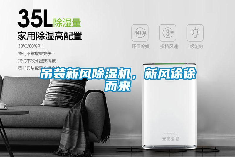 欧美黄色性爱视频网站 吊装新风除湿机，新风徐徐而来