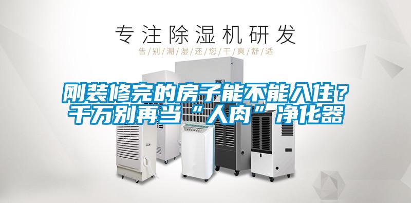 欧美黄色电影在线播放 刚装修完的房子能不能入住？千万别再当“人肉”净化器