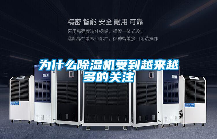 欧美成色手机在线观看 为什么除湿机受到越来越多的关注