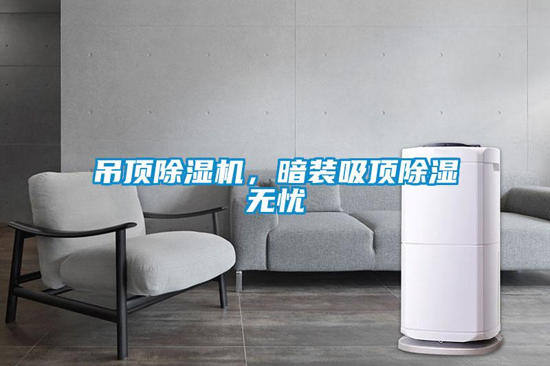 欧美黄色性爱视频网站 吊顶除湿机，暗装吸顶除湿无忧