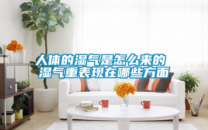 欧美黄色电影在线播放 人体的湿气是怎么来的 湿气重表现在哪些方面