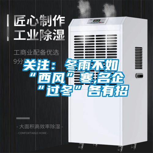 欧美黄色性爱视频网站 关注：冬雨不如“西风”寒,名企“过冬”各有招