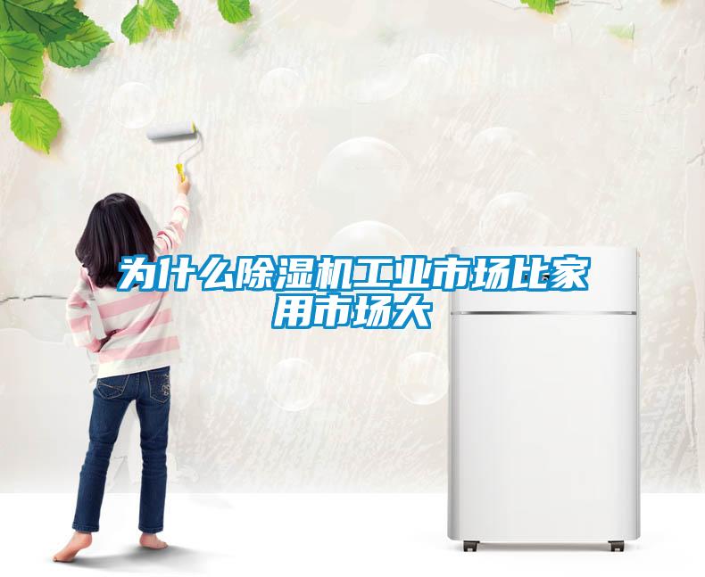 欧美黄色性爱视频网站 为什么除湿机工业市场比家用市场大