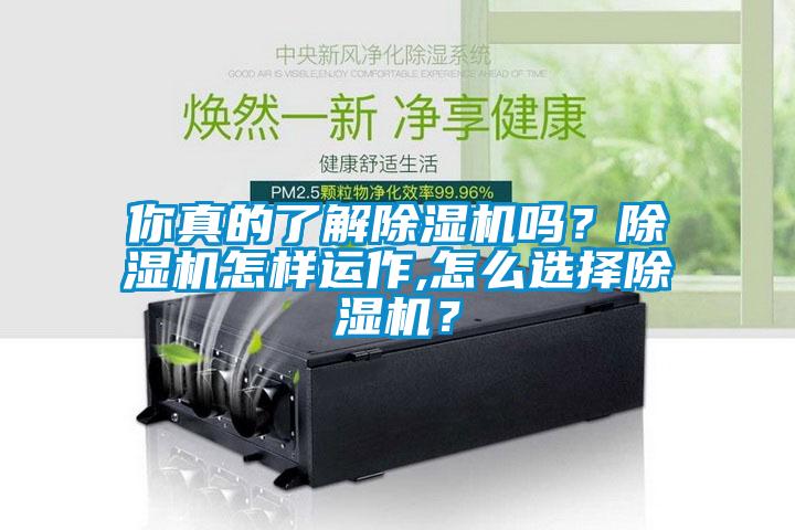 欧美黄色电影在线播放 你真的了解除湿机吗？除湿机怎样运作,怎么选择除湿机？