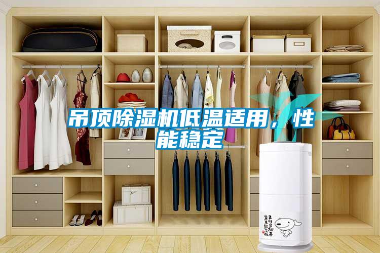 欧美黄色电影在线播放 吊顶除湿机低温适用，性能稳定