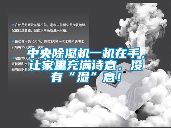 欧美黄色电影在线播放 中央除湿机一机在手，让家里充满诗意，没有“湿”意！