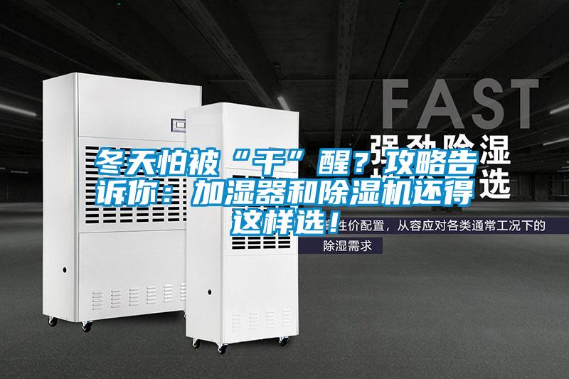 冬天怕被“干”醒？攻略告诉你：加湿器和除湿机还得这样选！