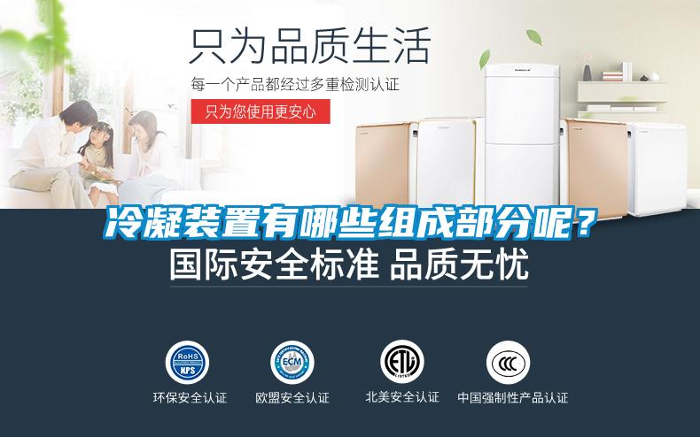 欧美黄色性爱视频网站 冷凝装置有哪些组成部分呢？