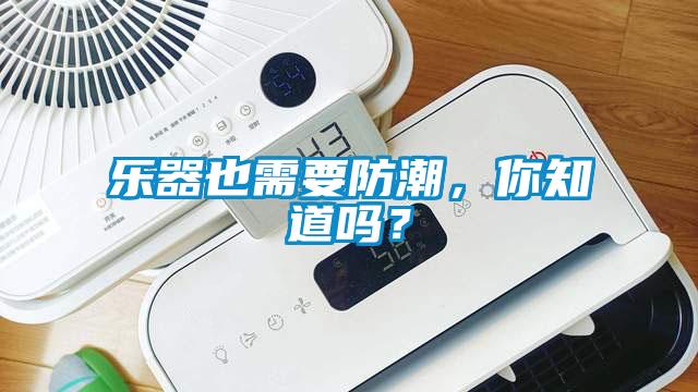 欧美黄色电影在线播放 乐器也需要防潮，你知道吗？