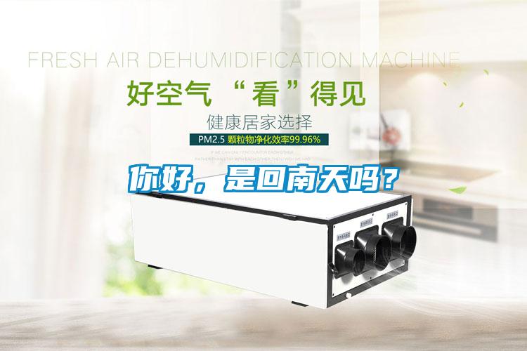 你好，是回南天吗？