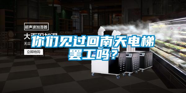 你们见过回南天电梯罢工吗？