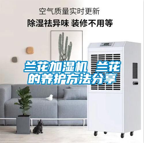 欧美黄色性爱视频网站 兰花加湿机 兰花的养护方法分享