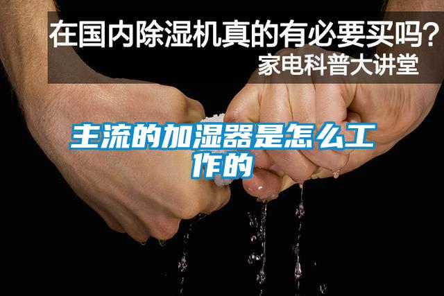 欧美黄色电影在线播放 主流的加湿器是怎么工作的