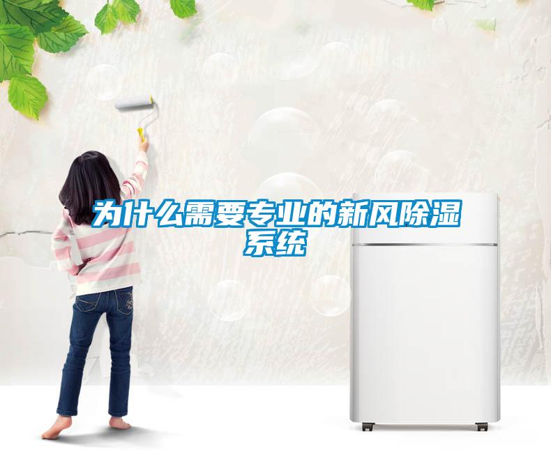 欧美成色手机在线观看 为什么需要专业的新风除湿系统