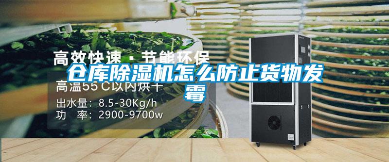 欧美黄色性爱视频网站 仓库除湿机怎么防止货物发霉