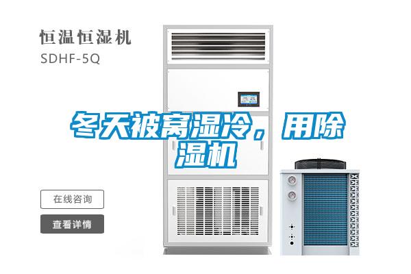 欧美成色手机在线观看 冬天被窝湿冷，用除湿机