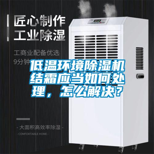 欧美黄色性爱视频网站 低温环境除湿机结霜应当如何处理，怎么解决？