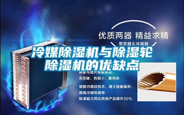 欧美成色手机在线观看 冷媒除湿机与除湿轮除湿机的优缺点