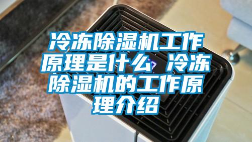欧美黄色性爱视频网站 冷冻除湿机工作原理是什么 冷冻除湿机的工作原理介绍