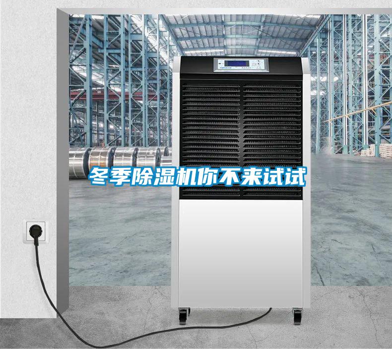 欧美黄色性爱视频网站 冬季除湿机你不来试试