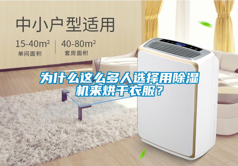 欧美成色手机在线观看 为什么这么多人选择用除湿机来烘干衣服？