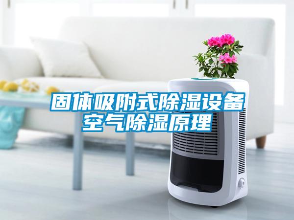 欧美黄色性爱视频网站 固体吸附式除湿设备空气除湿原理