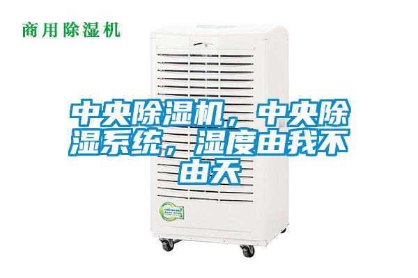 欧美黄色性爱视频网站 中央除湿机，中央除湿系统，湿度由我不由天