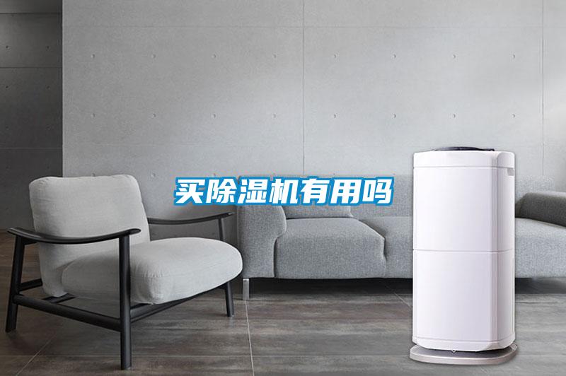 欧美黄色性爱视频网站 买除湿机有用吗