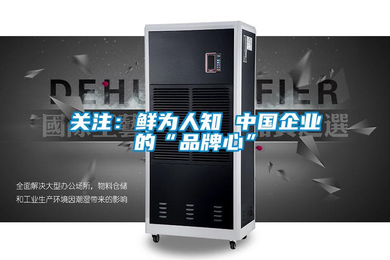 欧美黄色电影在线播放 关注：鲜为人知 中国企业的“品牌心”