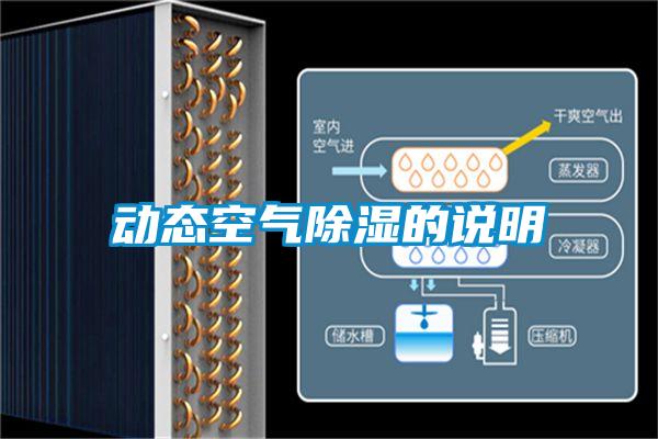 欧美成色手机在线观看 动态空气除湿的说明