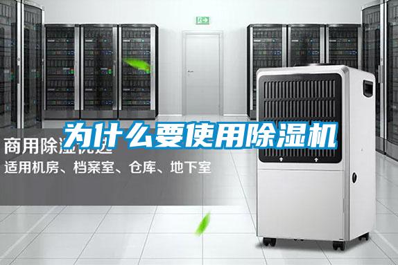 欧美黄色电影在线播放 为什么要使用除湿机