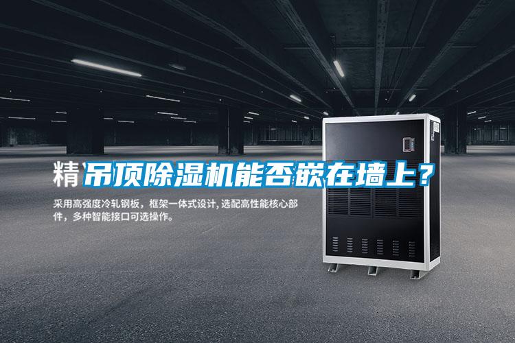 欧美黄色电影在线播放 吊顶除湿机能否嵌在墙上？