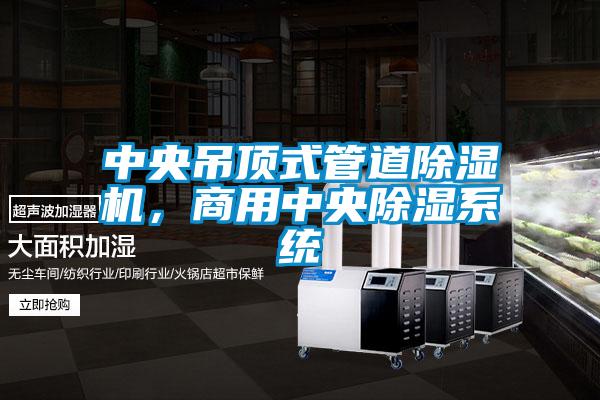 欧美黄色性爱视频网站 中央吊顶式管道除湿机，商用中央除湿系统