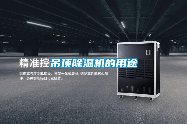欧美成色手机在线观看 吊顶除湿机的用途