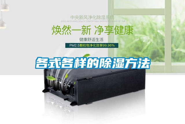 欧美黄色电影在线播放 各式各样的除湿方法