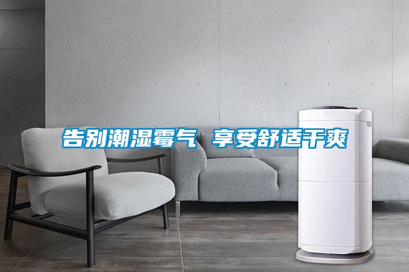 欧美黄色性爱视频网站 告别潮湿霉气 享受舒适干爽