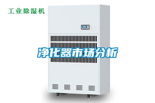 欧美黄色性爱视频网站 净化器市场分析