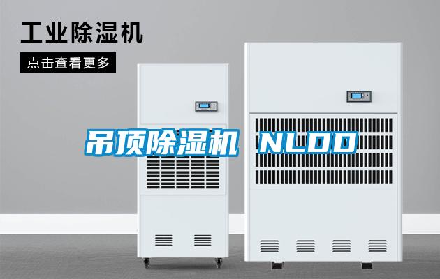 欧美黄色性爱视频网站 吊顶除湿机 NLDD