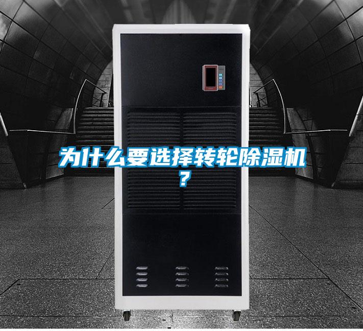 欧美黄色电影在线播放 为什么要选择转轮除湿机？